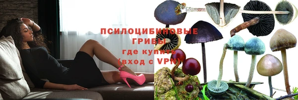 ALPHA PVP Покачи
