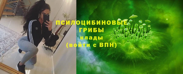 прущие грибы Горняк