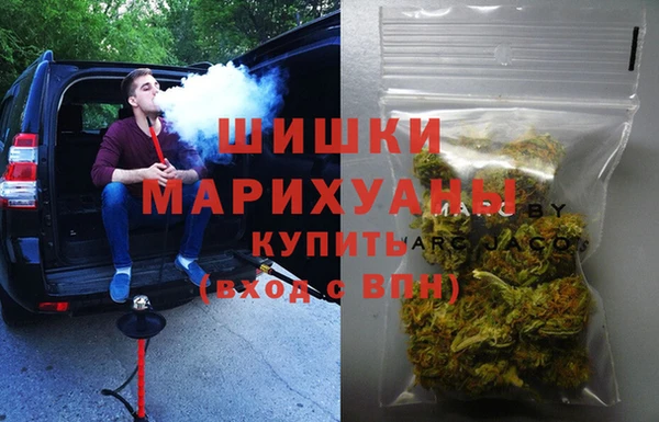 прущие грибы Горняк