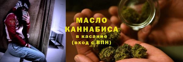 прущие грибы Горняк