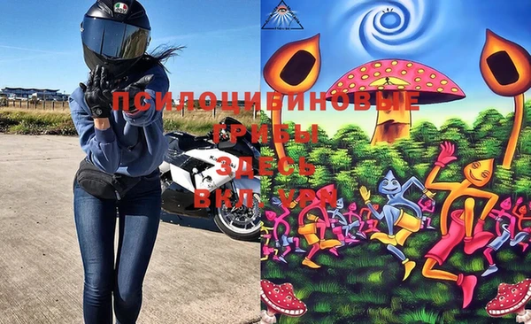 прущие грибы Горняк