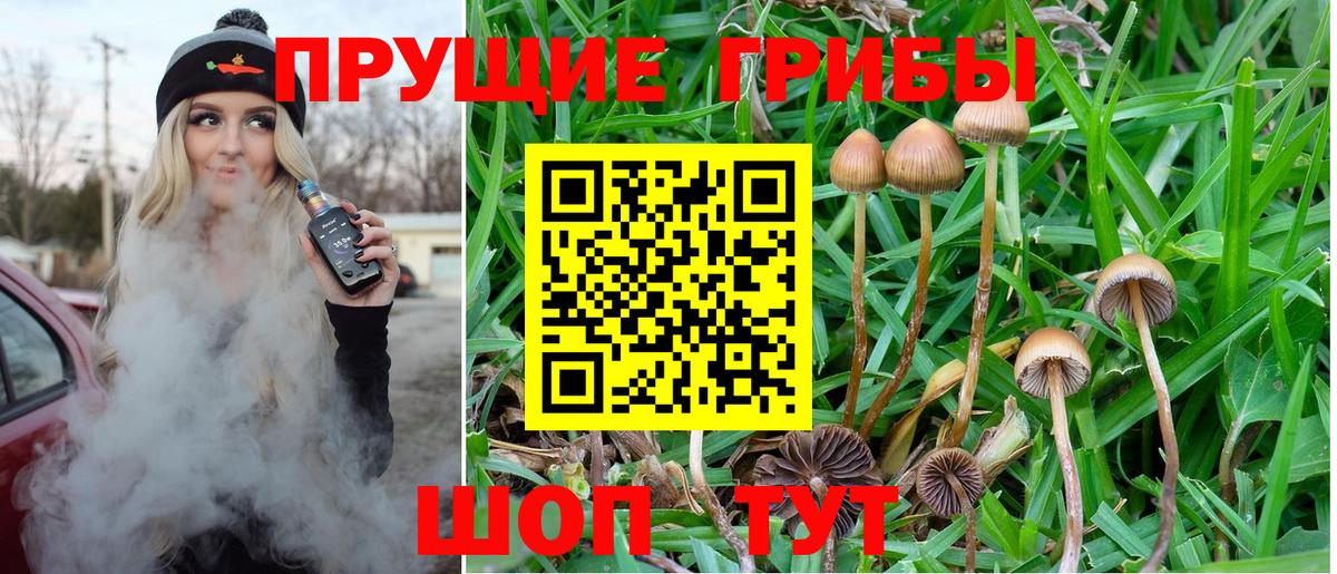Галлюциногенные грибы Magic Shrooms Серпухов