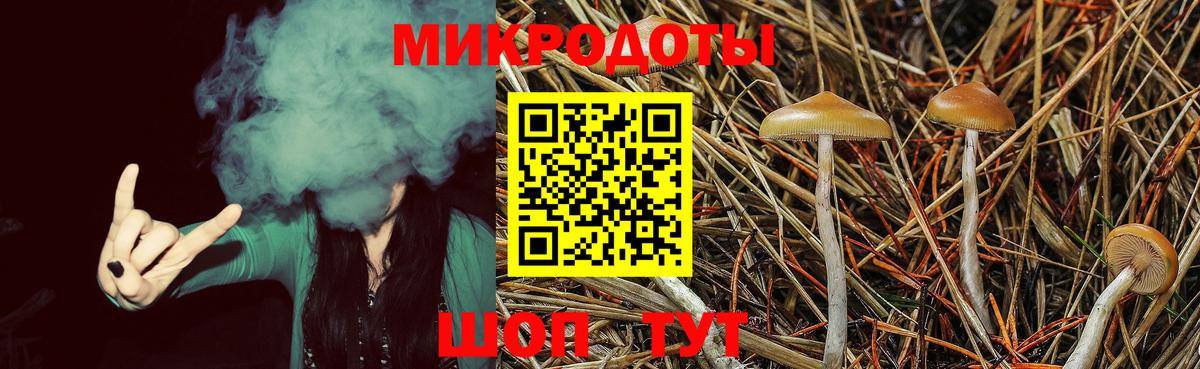 Галлюциногенные грибы мухоморы Серпухов