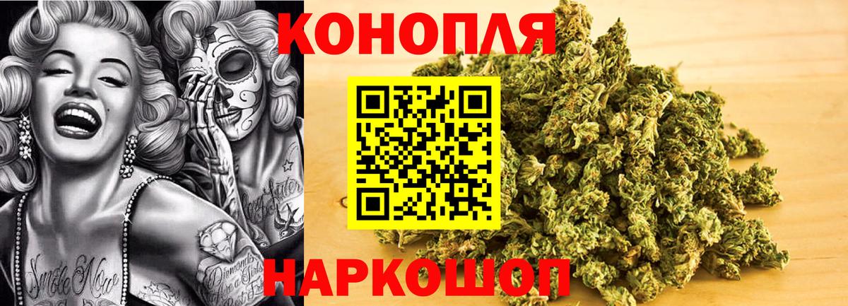 Конопля сатива Серпухов